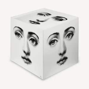 Fornasetti Cubo Con Cassetto Viso^ Armadietti