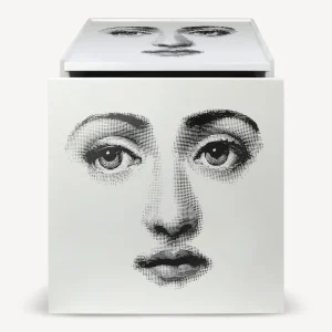 Fornasetti Cubo Con Cassetto Viso^ Armadietti